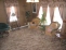 Property.view_front no image