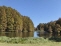 Georgia Veterans State Park, Located 10 minutes from The Refuge at LIMESTONE BLUFF no image