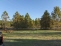 Wooded Acreage no image