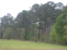 side view no image