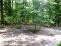 Property.view_front no image