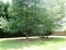 Property.view_front no image