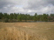Only 15 minutes from downtown Pensacola no image