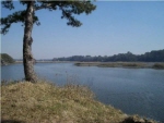 Minutes to ocean-Best fishing, shrimping around! no image