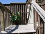 Property.view_front no image