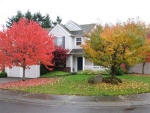 Property.view_front no image