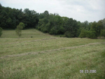 Property.view_front no image