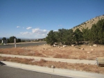 Property.view_front no image