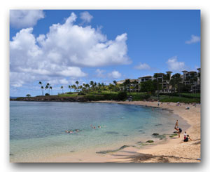 Montage Residences Kapalua Bay | Condos for Sale | Formerly The Ritz