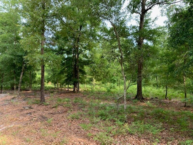 2 Chaplins Landing Rd, Hollywood, SC, 29449 United States