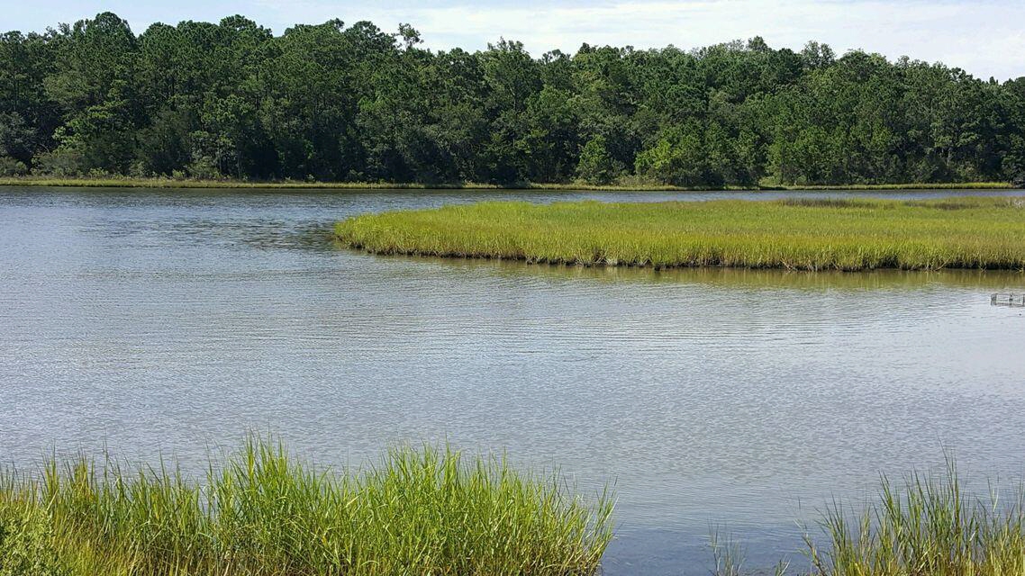 4455 Highway 165 Highway,, Meggett, SC, 29449 United States